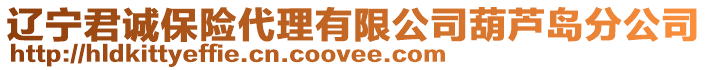 遼寧君誠保險(xiǎn)代理有限公司葫蘆島分公司