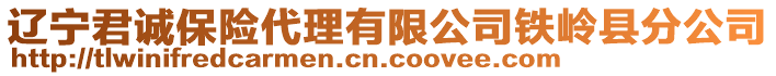 遼寧君誠保險代理有限公司鐵嶺縣分公司