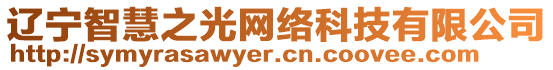 遼寧智慧之光網絡科技有限公司