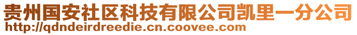 貴州國安社區科技有限公司凱里一分公司