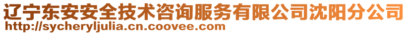 遼寧東安安全技術咨詢服務有限公司沈陽分公司