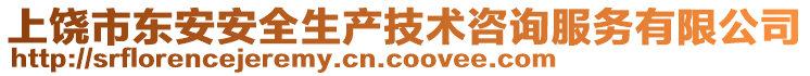 上饒市東安安全生產(chǎn)技術(shù)咨詢服務(wù)有限公司