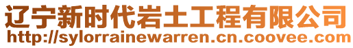 遼寧新時代巖土工程有限公司