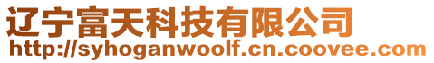 遼寧富天科技有限公司