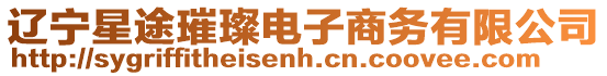 遼寧星途璀璨電子商務有限公司