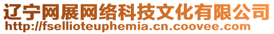 遼寧網(wǎng)展網(wǎng)絡(luò)科技文化有限公司