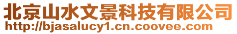北京山水文景科技有限公司