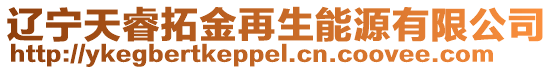 遼寧天睿拓金再生能源有限公司