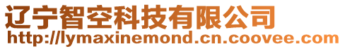 遼寧智空科技有限公司