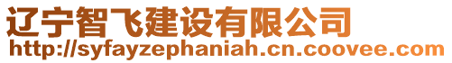 遼寧智飛建設(shè)有限公司