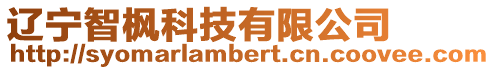 遼寧智楓科技有限公司