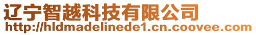遼寧智越科技有限公司