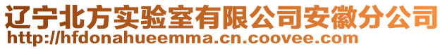 遼寧北方實驗室有限公司安徽分公司