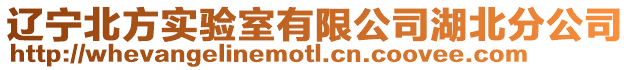 辽宁北方实验室有限公司湖北分公司