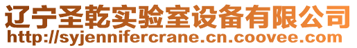 遼寧圣乾實驗室設備有限公司