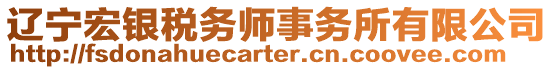 遼寧宏銀稅務(wù)師事務(wù)所有限公司