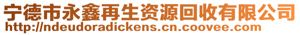 寧德市永鑫再生資源回收有限公司