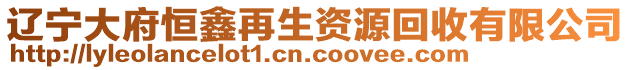 遼寧大府恒鑫再生資源回收有限公司