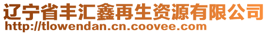 遼寧省豐匯鑫再生資源有限公司