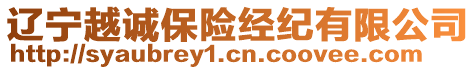 遼寧越誠保險(xiǎn)經(jīng)紀(jì)有限公司