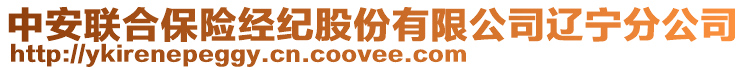 中安聯(lián)合保險經(jīng)紀股份有限公司遼寧分公司