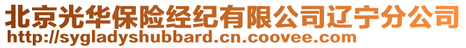 北京光華保險(xiǎn)經(jīng)紀(jì)有限公司遼寧分公司