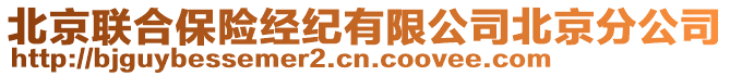 北京聯(lián)合保險(xiǎn)經(jīng)紀(jì)有限公司北京分公司