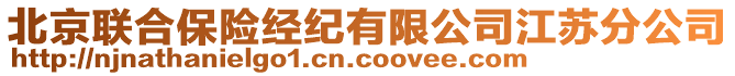 北京聯(lián)合保險經(jīng)紀有限公司江蘇分公司