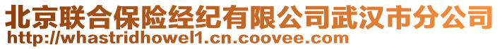 北京聯(lián)合保險(xiǎn)經(jīng)紀(jì)有限公司武漢市分公司