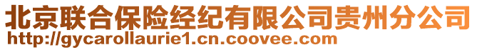 北京聯(lián)合保險(xiǎn)經(jīng)紀(jì)有限公司貴州分公司