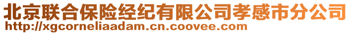 北京聯(lián)合保險(xiǎn)經(jīng)紀(jì)有限公司孝感市分公司