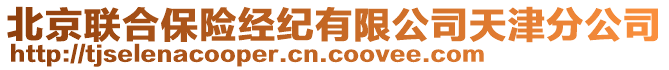 北京聯(lián)合保險經(jīng)紀(jì)有限公司天津分公司