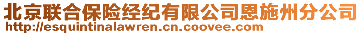 北京聯(lián)合保險(xiǎn)經(jīng)紀(jì)有限公司恩施州分公司