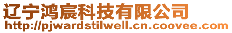 遼寧鴻宸科技有限公司