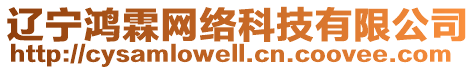 遼寧鴻霖網(wǎng)絡(luò)科技有限公司