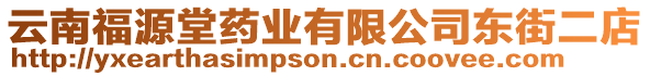 云南福源堂藥業(yè)有限公司東街二店