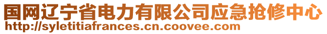 國網(wǎng)遼寧省電力有限公司應(yīng)急搶修中心