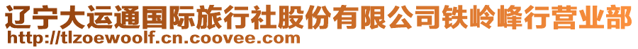 遼寧大運通國際旅行社股份有限公司鐵嶺峰行營業(yè)部