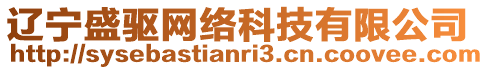 遼寧盛驅(qū)網(wǎng)絡(luò)科技有限公司