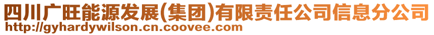 四川廣旺能源發(fā)展(集團(tuán))有限責(zé)任公司信息分公司