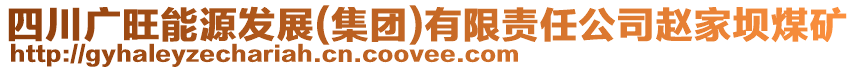 四川廣旺能源發(fā)展(集團)有限責任公司趙家壩煤礦