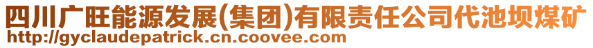 四川廣旺能源發(fā)展(集團)有限責任公司代池壩煤礦