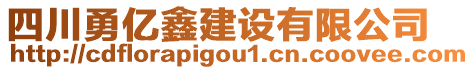 四川勇億鑫建設(shè)有限公司