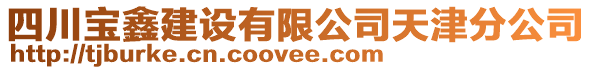 四川寶鑫建設(shè)有限公司天津分公司