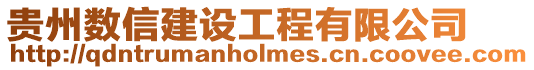 貴州數信建設工程有限公司