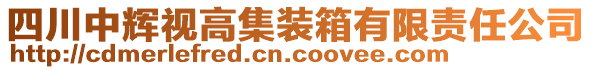 四川中輝視高集裝箱有限責(zé)任公司