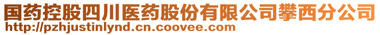 國藥控股四川醫(yī)藥股份有限公司攀西分公司