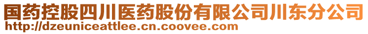 國藥控股四川醫(yī)藥股份有限公司川東分公司