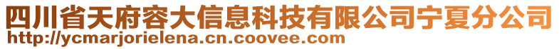 四川省天府容大信息科技有限公司寧夏分公司