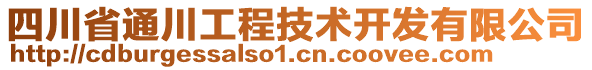 四川省通川工程技術(shù)開(kāi)發(fā)有限公司